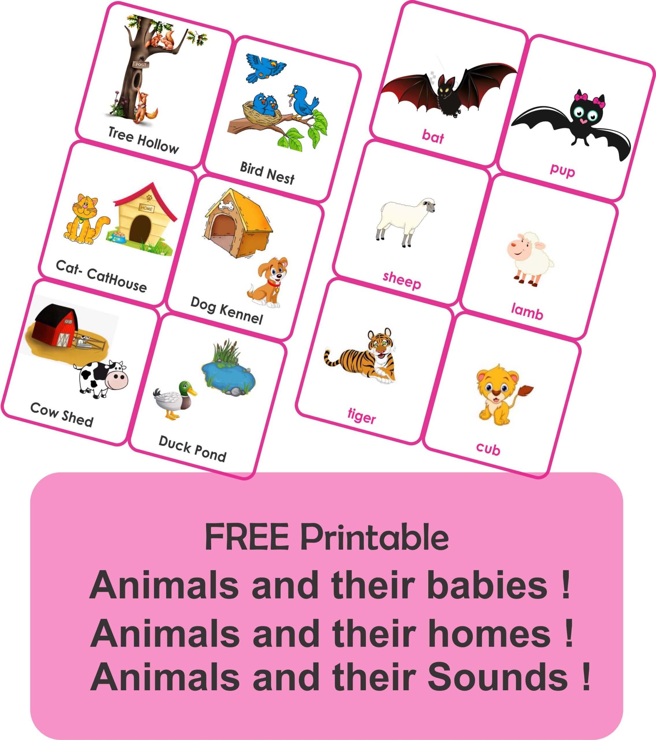 Animals Flashcards-animals and their sounds-their babies-