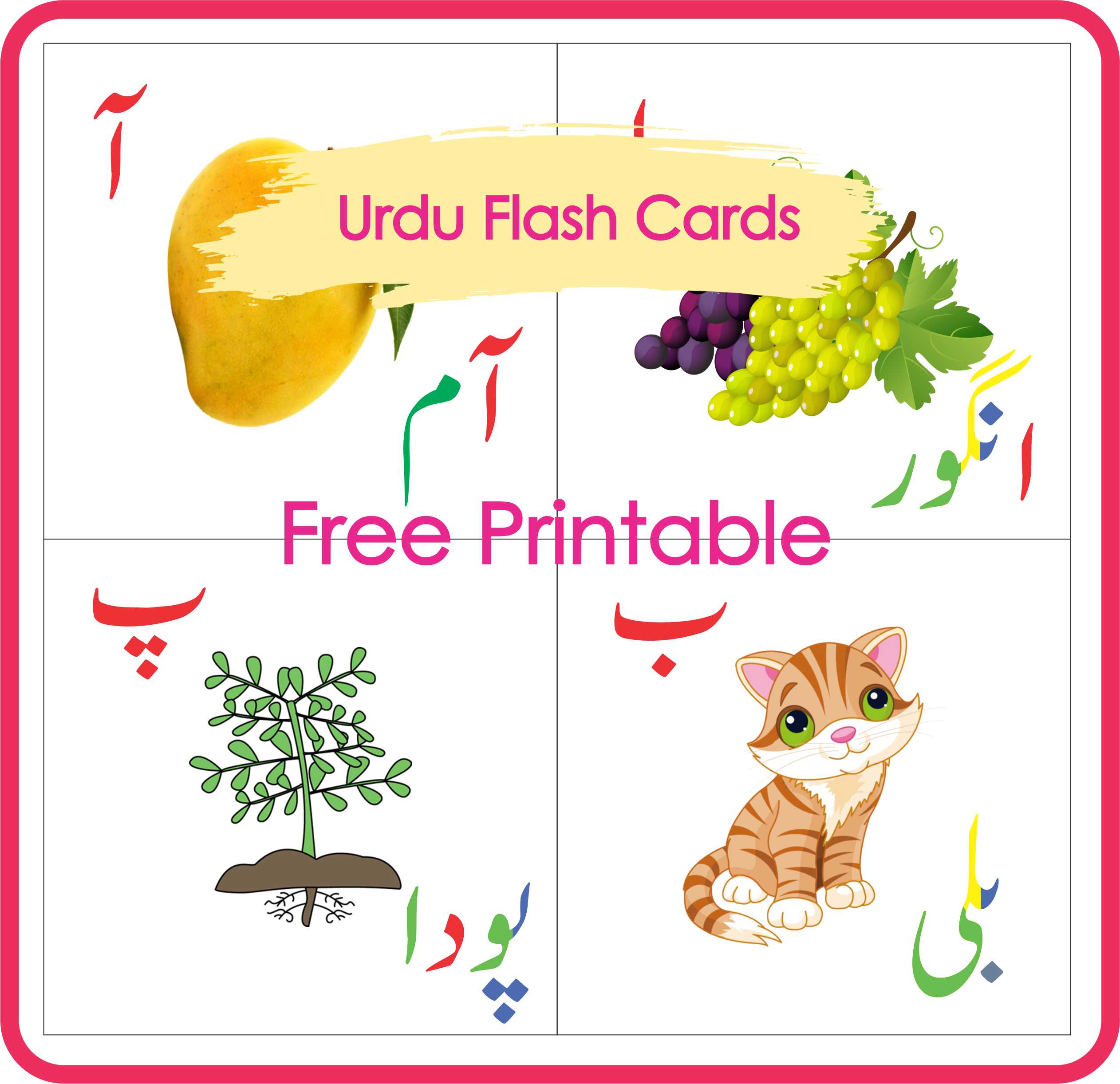 Urdu Flash Cards Alphabets Montessoriseries