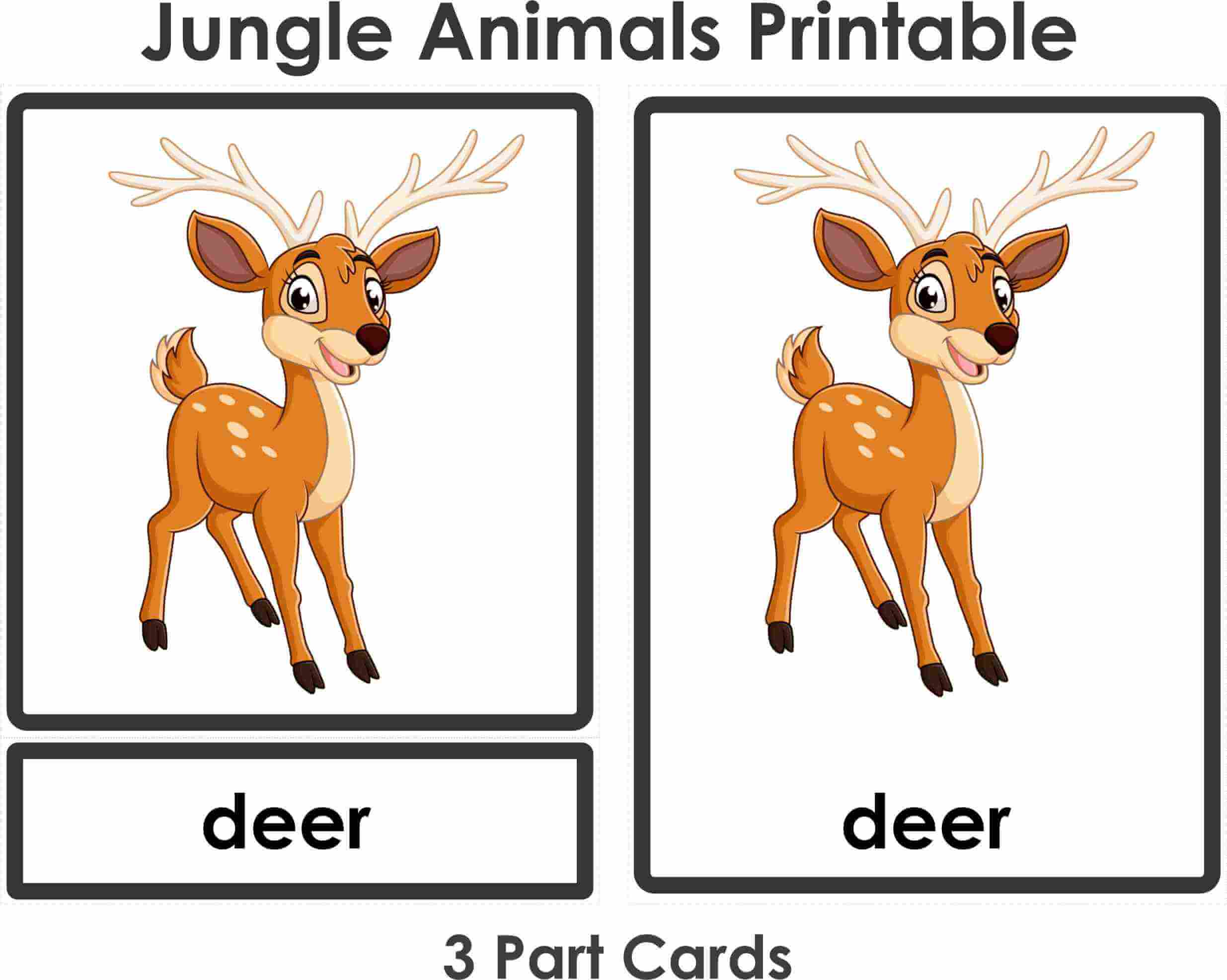 Jungle Animals clipart-Printable (3 Part Flashcards) Montessoriseries